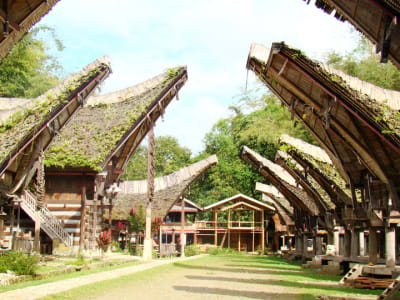 Toraja