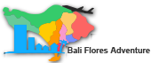 Bali Flores Adventure