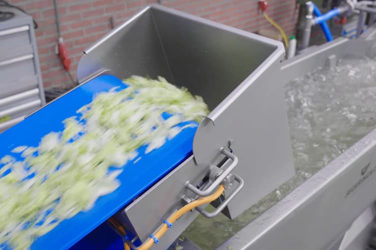 Lettuce Washing Machine
