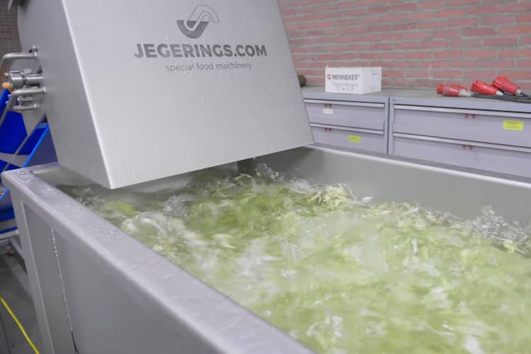 Bubble Washing Lettuce