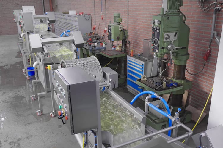 Lettuce Processing Line