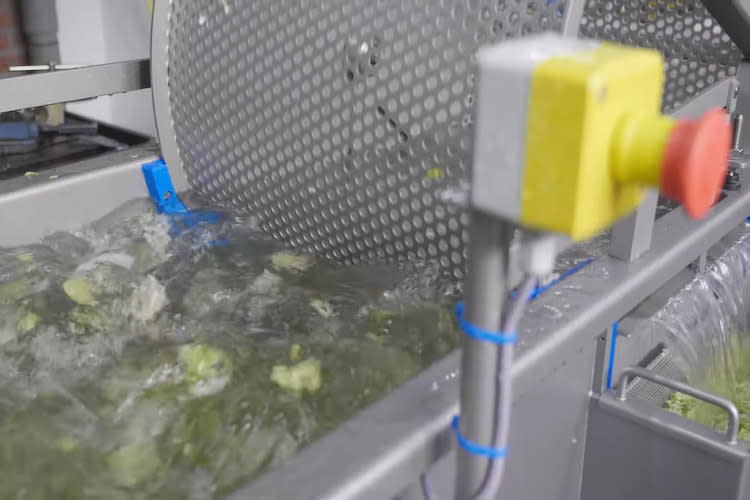 Iceberg Lettuce Washing Machine