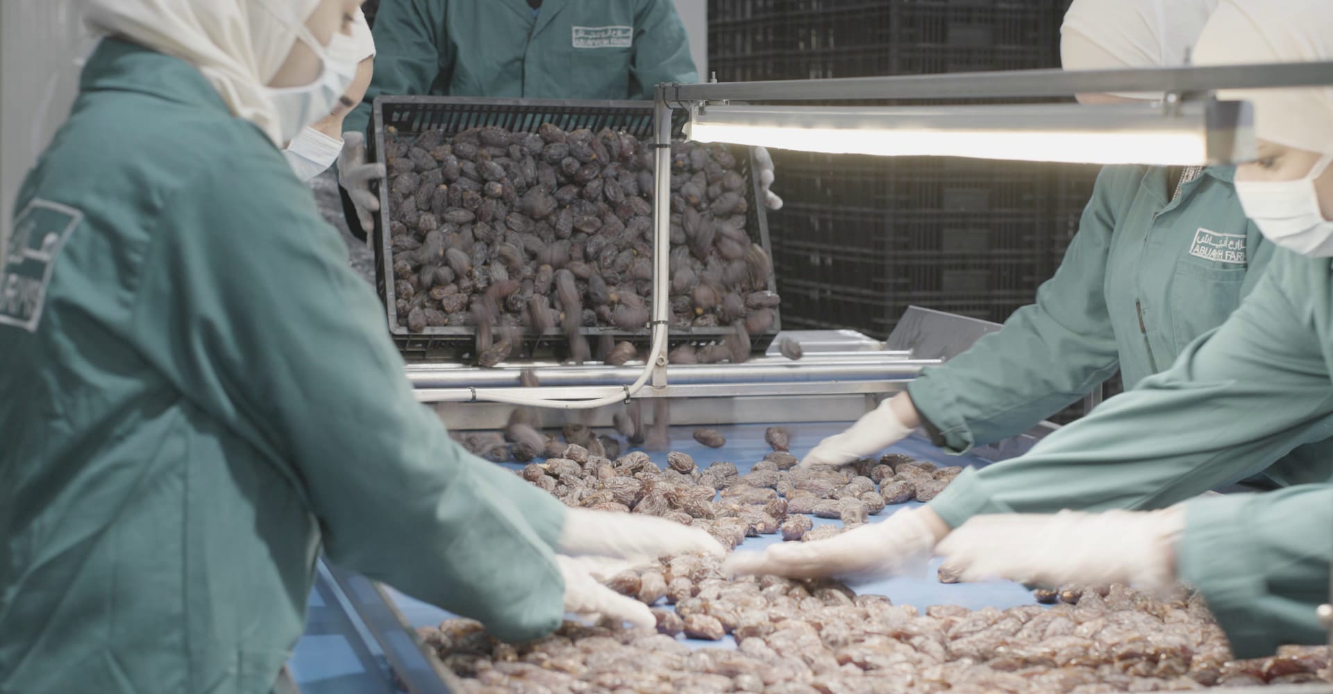 Visual Inspection of Dates