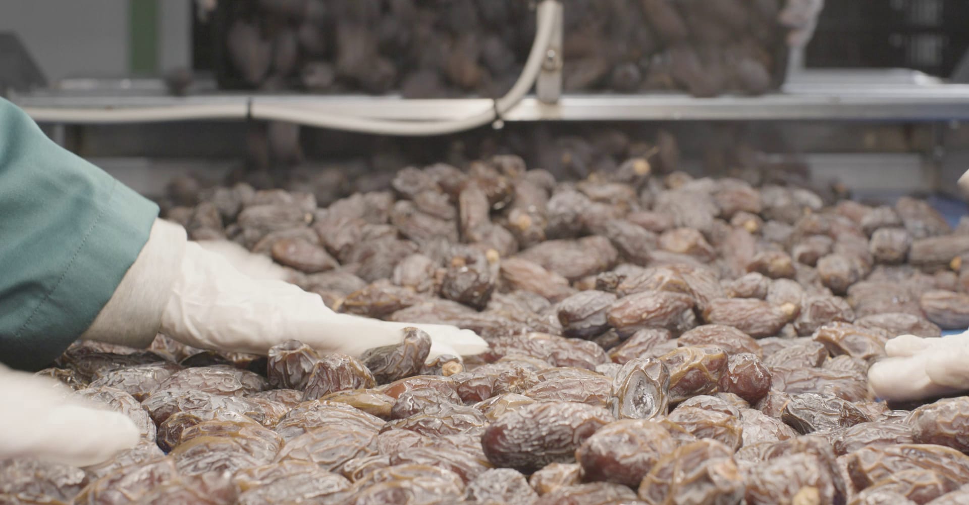 Visual Inspection of Dates