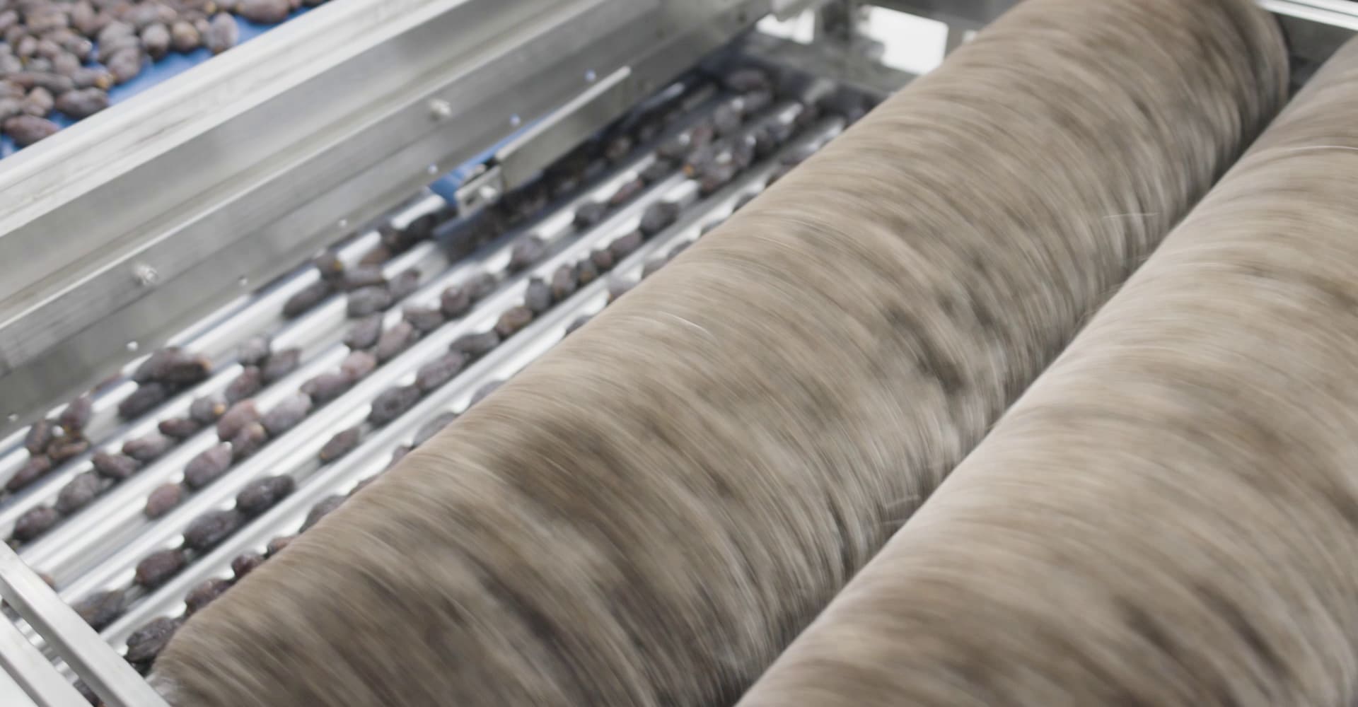 Date Brushing Machine