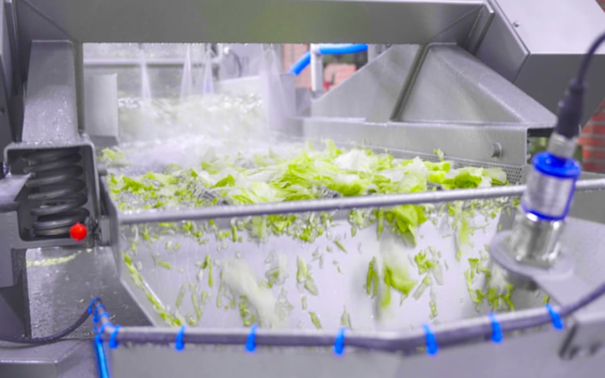 Salad Processing Lines | Quadra Machinery Salad Processing Lines | Quadra Machinery
