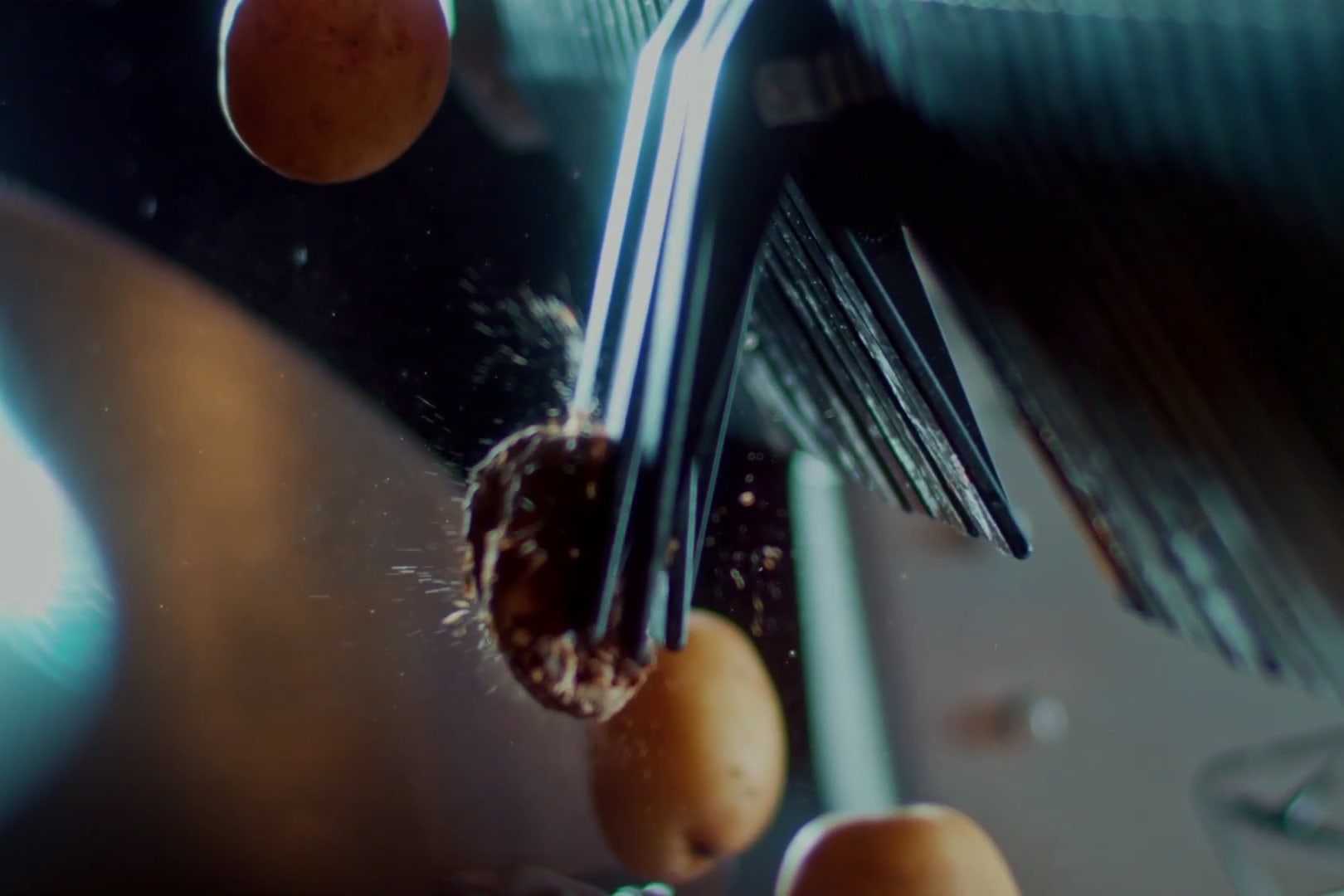 Potato Sorting Machine