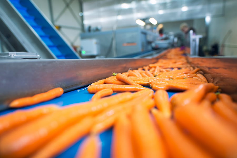 Carrot Washing, Grading, Packing Lines Quadra Machinery