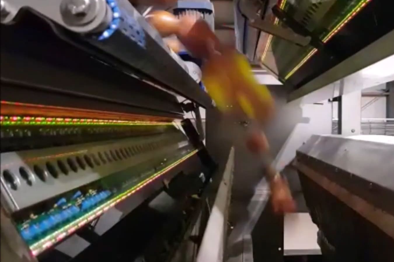 Onion Optical Sorting Machine