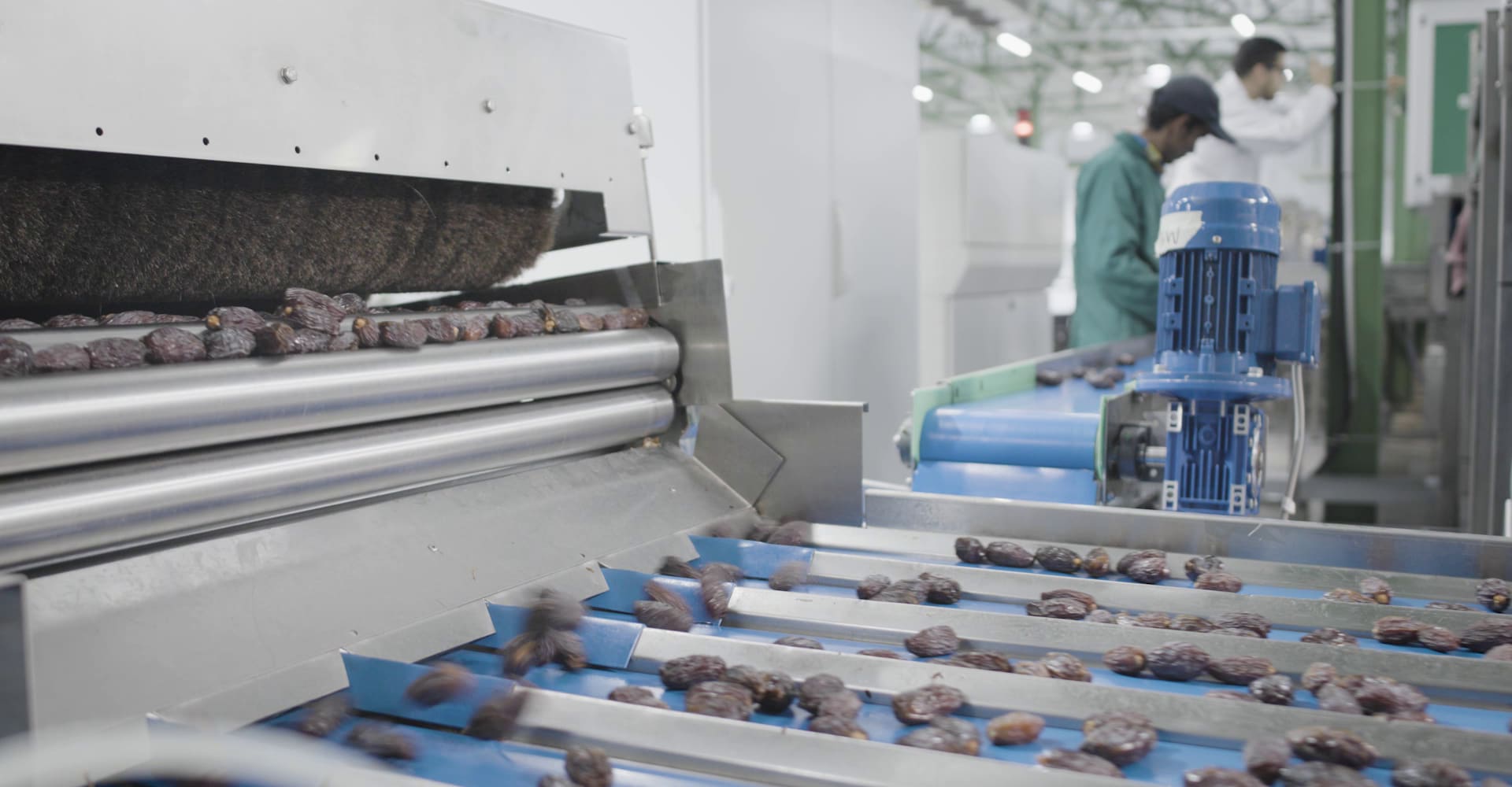 Date Sorting Machines | Quadra Machinery