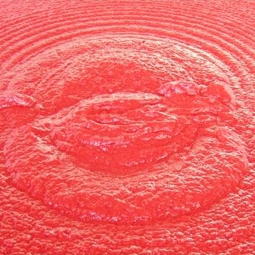 Crushed Tomato Sorting