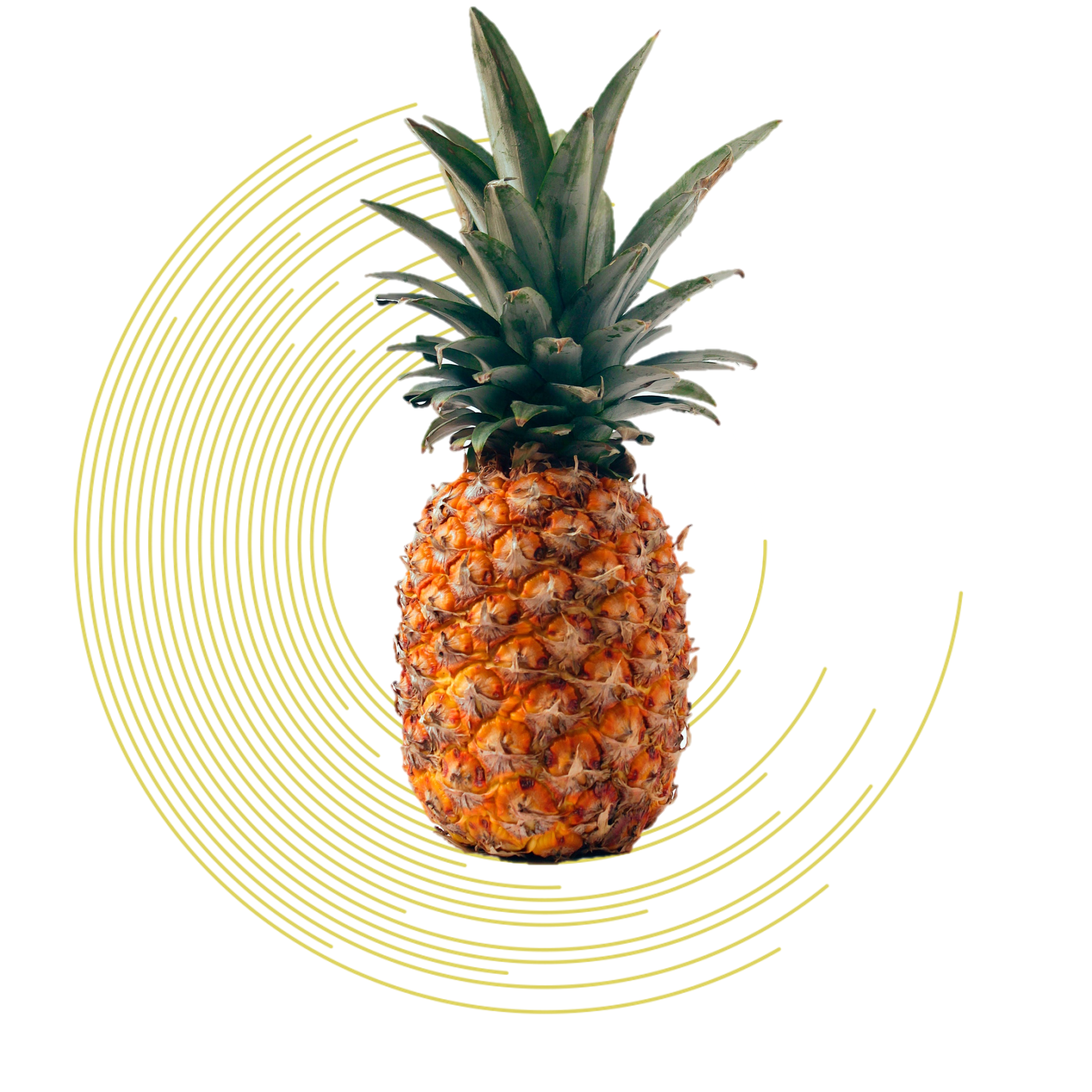 Pineapple