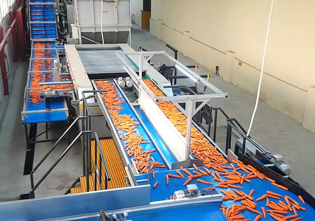 Vegetable Processing Lines Quadra Machinery