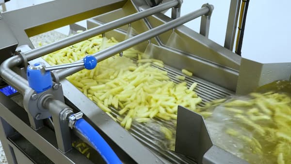 French Fries Processing Lines