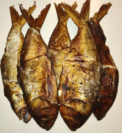 Bounga/tas de 4 poissons 