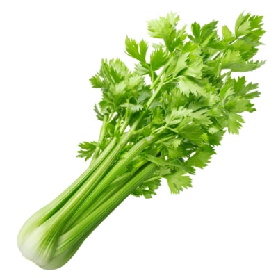 Céleris tas de 500 g
