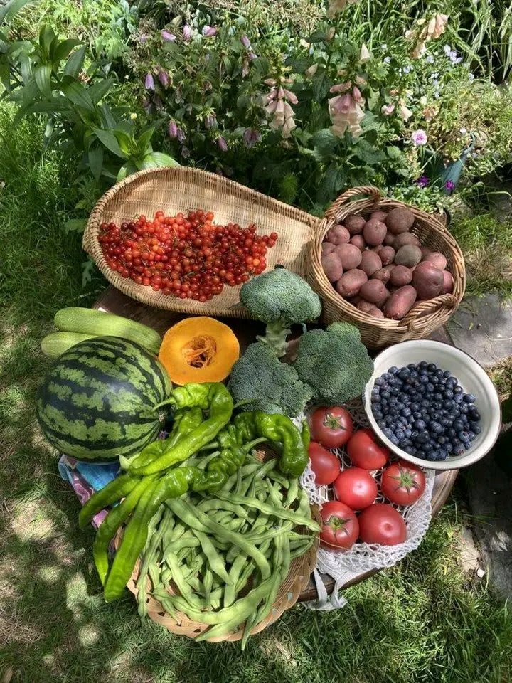 Vegetables