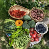 Vegetables