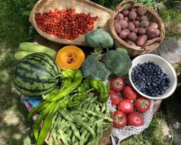 Vegetables