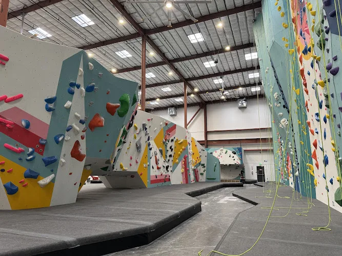 4.7★ Class 5 Climbing | Torrance Climbing Gym