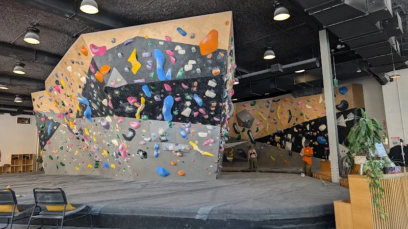 4.7★ Benchmark Climbing | San Francisco Climbing Gym
