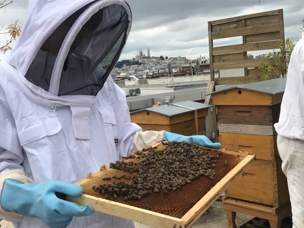 Team-Building-team-building-d-apiculture-entre-collegues-sur-les-toits-de-paris