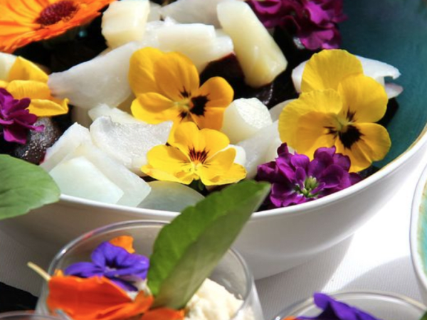 team-building-atelier-degustation-de-fleurs-comestibles-a-paris-en-equipe