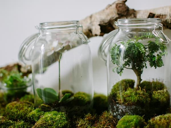 team-building-team-building-terrarium-a-paris-entre-collegues