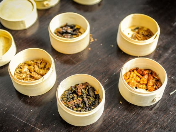 team-building-atelier-degustation-d-insecte-en-entreprise-a-paris