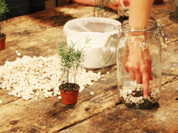 team-building-team-building-en-equipe-atelier-diy-terrarium-a-paris
