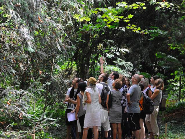 team-building-Team-Building-decouverte-de-la-biodiversite-dun-Domaine-a-Paris