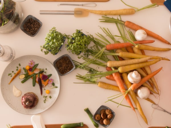 team-building-Degustation-dun-repas-gastronomique-aux-insectes-avec-votre-equipe