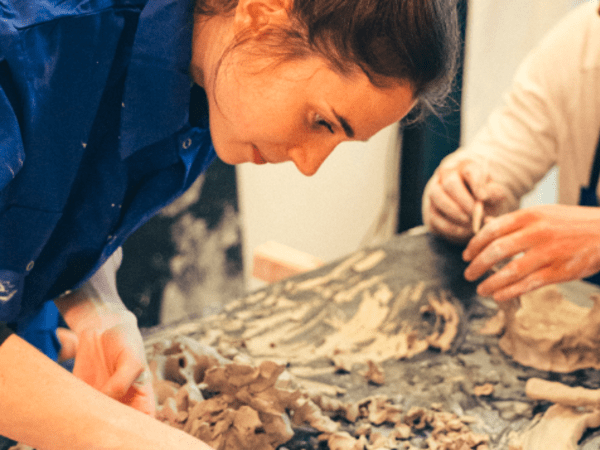 team-building-Team-Building-creation-artistique-eveil-a-largile-en-equipe-a-Paris