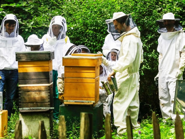 team-building-atelier-apiculture-pour-entreprise-a-paris
