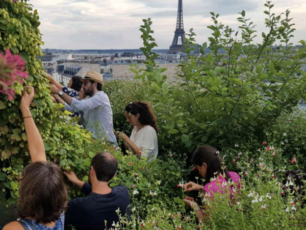 team-building-team-building-mixologie-boissons-artisanales-a-paris-en-equipe