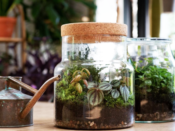 animation-Un-atelier-detente-pour-creer-un-mini-terrarium-pour-soiree-entreprise-ou-seminaire-a-paris