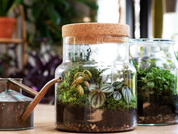 Team-Building-Un-atelier-detente-pour-creer-un-mini-terrarium-pour-soiree-entreprise-ou-seminaire-a-paris