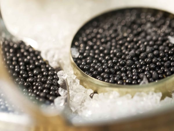animation-Animation-degustation-de-caviar-a-Paris-en-bar-ou-en-atelier