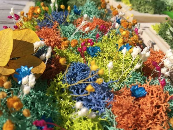 team-building-Atelier-creation-oeuvre-et-tableau-vegetal-en-entreprise-a-Paris