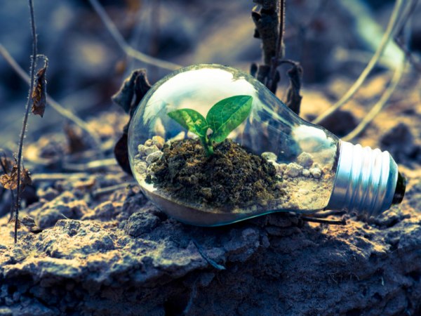 team-building-Team-building-defi-sur-des-pratiques-eco-responsable-en-ligne