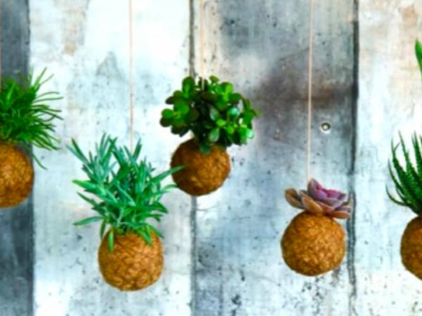 team-building-Team-building-atelier-de-creation-vegetale-et-artistique
