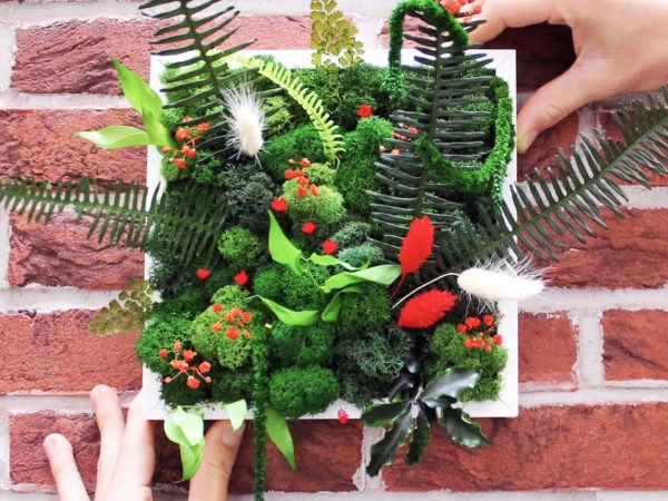 team-building-Team-building-atelier-de-confection-de-cadre-vegetal-a-distance