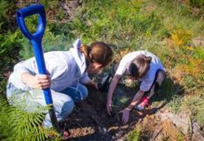 Team building solidaire et éco-responsable