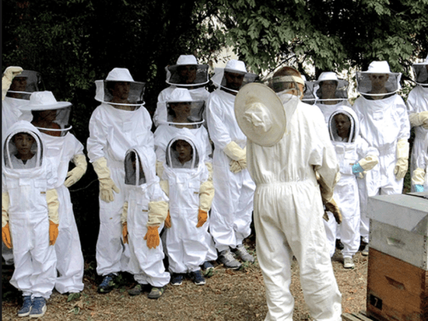 team-building-atelier-apiculture-pour-entreprise-a-paris