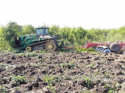 В 2022 году в Брянской области ввели в сельхозоборот 30 тысяч га заросших лесом земель