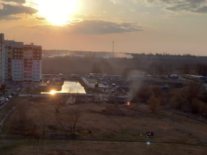 С приходом весны жители Брянска начали страдать из-за поджогов травы