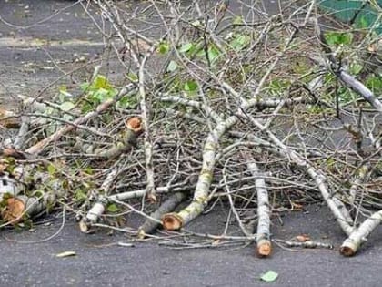 Складирование веток и ботвы на контейнерных площадках недопустимо!