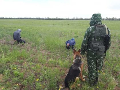 В Суземке дух иностранцев осудят за незаконный переход границы