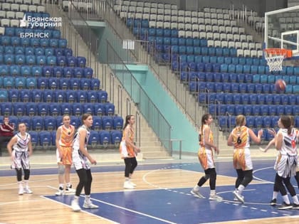 В брянском Дворце единоборств состоялся турнир школьной баскетбольной лиги «КЭС-баскет»