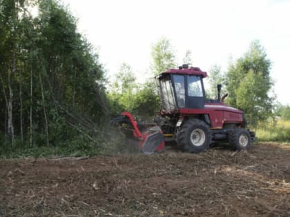 Брянские аграрии планируют ввести в оборот не менее 30 тысяч гектаров земли